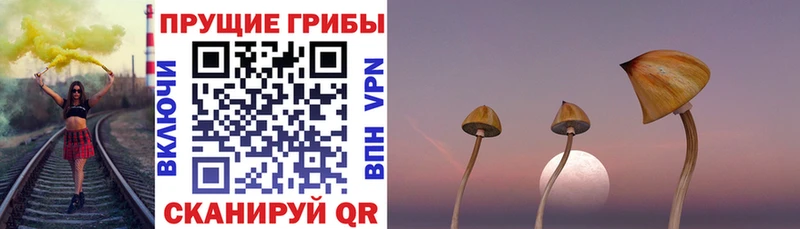 Галлюциногенные грибы ЛСД  Купить  Ясногорск 